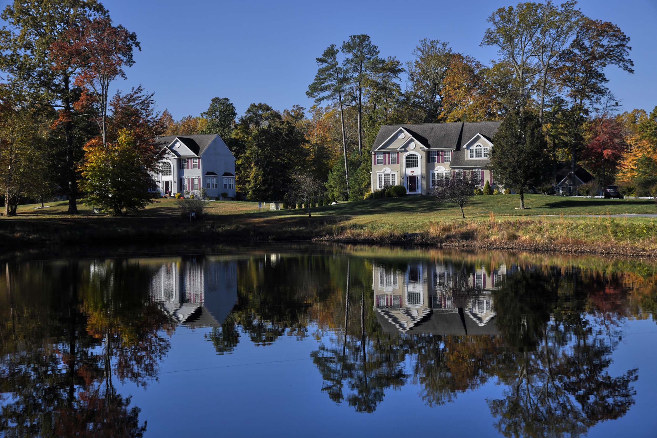 Pond View